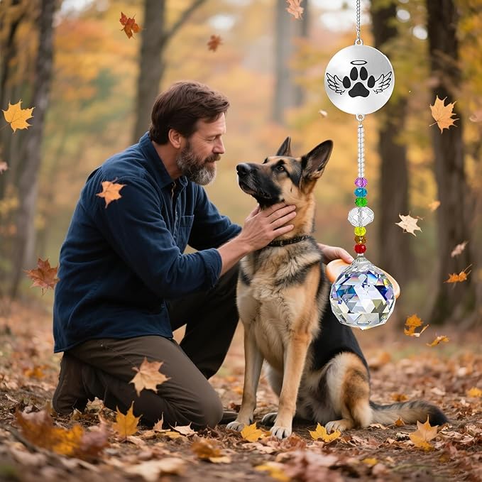 Dog Memorial Gifts for Loss of Dog, Pet Sympathy Gifts Crystal Window Suncatcher,Bereavement Memorial SunCatcher,Remembrance Pet Passing Away Loss(B)