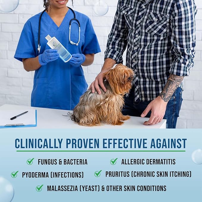 Command Medicated Dog Shampoo for Itchy Skin, Anti-Itch Relief for Allergies and Dry Skin, Healing Soothing Pet Care Formula (4 oz)