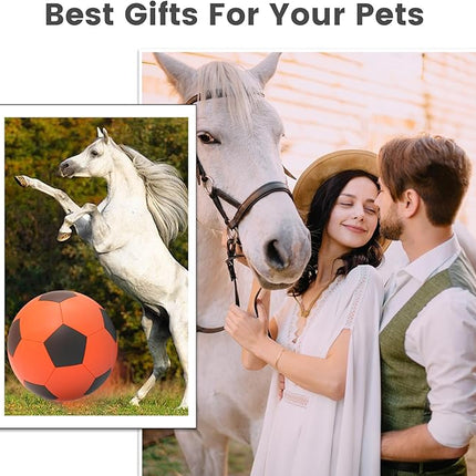 Diman Herding Ball for Dogs: 25 Inch Horse Balls for Outdoor Play, Large Dog Toys Balls for Australian Shepherd, Dogs or Horses, Orange Black
