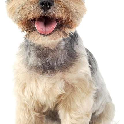 ALL FOR PAWS Fox Squeaky Doy Toy, Fox Dog Toy for Small Medium Large Breed, Puppy Fetch Toy with Squeaker, Plush Chew Dog Toy, 10.2 x 7.9 x 4.7 inches - Classic Fox S