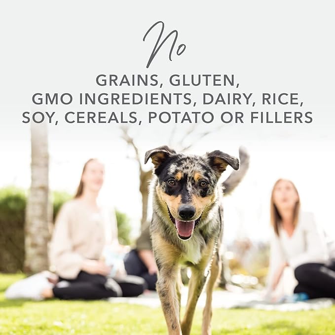 K9 Natural - Grain Free Freeze Dried Dog Food - Lamb & Salmon, 17.6oz