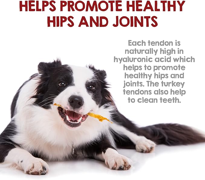 Riley's Turkey Tendons for Dogs Made in The USA & Sourced in The USA - Single Ingredient Dog Treats - All Natural Turkey Tendon Chews for Dogs - 4 oz