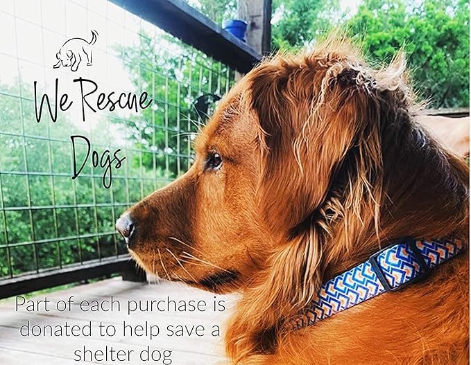 Lucky Love Dog Collars, Comfortable, Soft, Cute Dog Collar for Small Medium Large Dogs, Murphy, Small