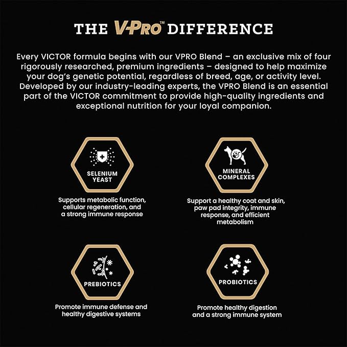 VICTOR Super Premium Dog Food – Hi-Pro Plus Dry Kibble – High Protein Dog Food with 30% Protein – Beef, Chicken, Pork, Fish Meals, Gluten Free - for High Energy and Active Dogs & Puppies, 30lbs
