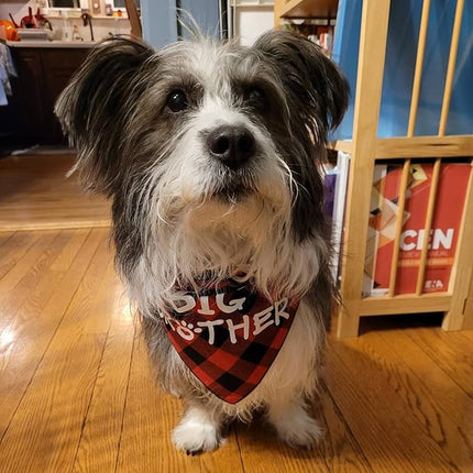 Big Brother Dog Bandana,Buffalo Plaid Pet Pregnancy Announcement Scarf
