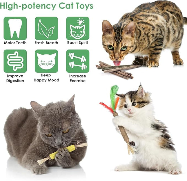 Bissap 16 PCS Silvervine Chew Sticks for Cats, Catnip Chew Sticks Cat Toys for Indoor Cat Kitten Teeth Grinding Interactive Feather Toys for Aggressive Chewers Dental Care