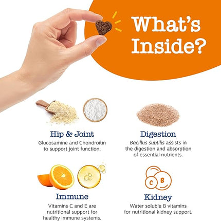 Zesty Paws Senior Dog Multivitamin Treats - Glucosamine for Dogs + Digestive Enzymes & Probiotics - Grain Free Dog Vitamins and Supplements for Skin & Coat + Immune Health Chicken - Advanced - 60ct