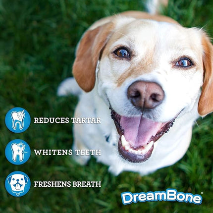 DreamBone Dental Chews, Rawhide-Free Chews for Dogs, Maintain Fresh Breath and Clean Healthy Teeth