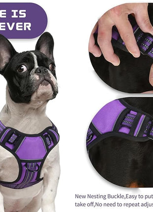 BUMBIN Dog Harness for Large Dogs, No Pull Adjustable No Choke Pet Vest with Dog Leash Fit Smart Reflective Pet Walking Harness for Training Easy Control Soft Handle Purple S