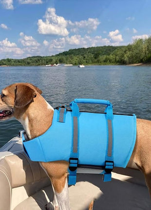 Queenmore XXL Dog Life Jacket - Floating Pet Life Vest, Adjustable Puppy Preserver for Swimming & Boating, Back Zip, Rescue Handle, Hook (Blue)