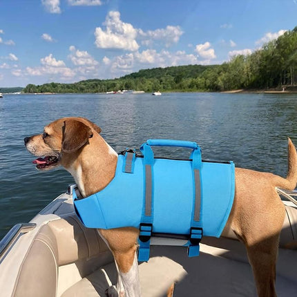 Queenmore Small Dog Life Jacket, High Floating Pet Life Preserver for Swimming and Boating, Adjustable Dog Water Vest with Back Zip and Rescue Handle (Blue S)