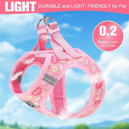 EXPAWLORER Small Dog Valentines Harness and Leash Set - Cute Puppy Harness Leash Dog Collar with AirTag Holder Silicone Case, Soft Padded Step in Pet Vest Reflective for Outdoor Walking, Heart S