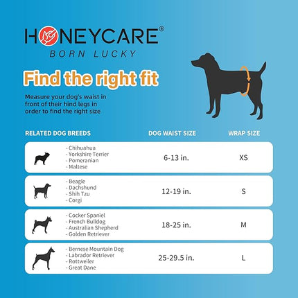 All-Absorb Male Dog Wrap, Large | 50 Count | Pack of 2