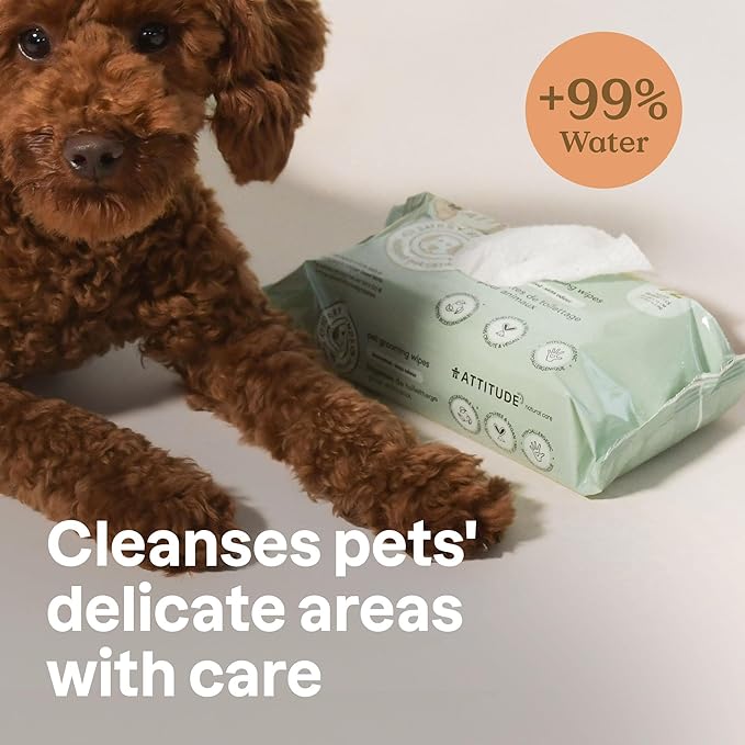 ATTITUDE Pet Wipes for Dogs & Cats, 99% Water, EWG Verified, Gentle & Unscented Cleaning Wipes for Paws, Ears, Face & Body, Deodorizing, Safe for Puppies & Kittens, 72 count