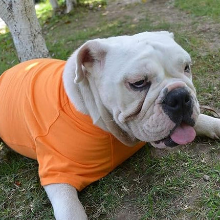 Lovelonglong Bulldog Clothes Dog Clothing Blank T-Shirt Tee Shirts for French Bulldog English Bulldog American Pit Bull Pugs 100% Cotton Skin Care Orange B-S