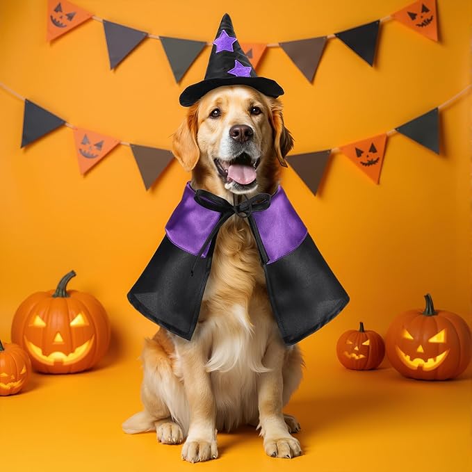 2 Sets Halloween Pet Costume Cats Witch Shaped Cloak and Hat Witch Cloak for Small Large Pets Gifts Party Favor(Large)