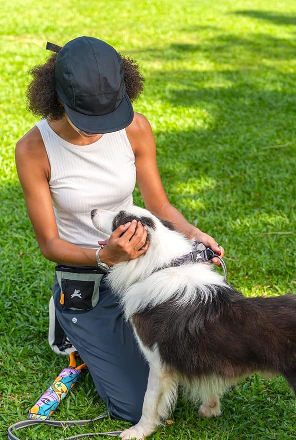 OllyDog Goodie Treat Bag, Dog Treat Pouch, Waist Belt Clip for Hands-Free Training, Magnetic Closure, Dog Training and Behavior Aids, Three Ways to Wear (Iceberg Green)