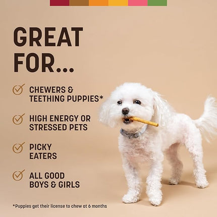 Earth Animal No Hide Stix - Long Lasting Rawhide Free Small Dog Chews Sticks, Venison - 20 Count Value Pack