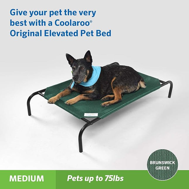 Coolaroo The Original Cooling Elevated Pet Bed, Medium, Brunswick Green
