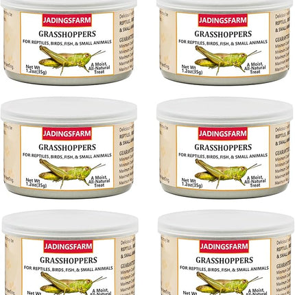 6 Pack Canned Grasshoppers for Reptiles, Fish, Birds and Small Animals, Grasshoppers, Healthy High Protein Treat, Bearded Dragon Food 7.2 Ounces Total