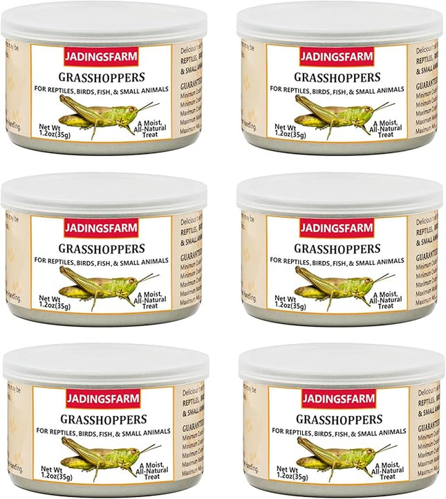 6 Pack Canned Grasshoppers for Reptiles, Fish, Birds and Small Animals, Grasshoppers, Healthy High Protein Treat, Bearded Dragon Food 7.2 Ounces Total