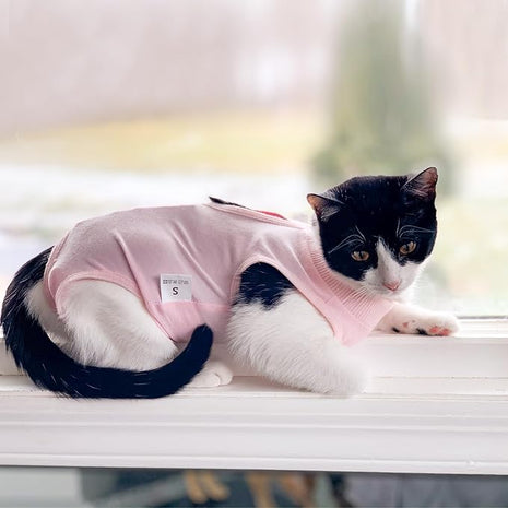 Cat Recovery Suit for Male and Female Surgical Post Surgery Soft Cone Onesie Shirt Clothes Neuter Licking Protective Diapers Outfit Cover Kitten Spay Collar(M, Pink)