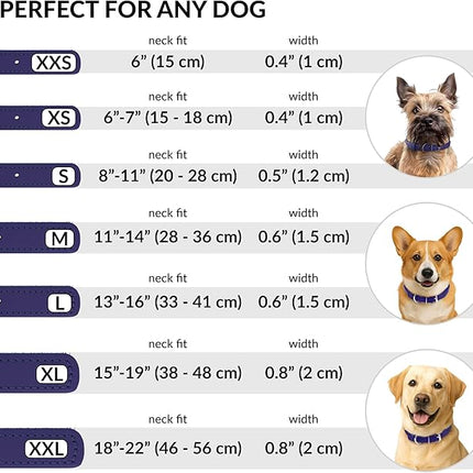 CollarDirect Rolled Leather Dog Collar, Soft Padded Round Puppy Collar, Handmade Genuine Leather Collar Dog Small Large Cat Collars 13 Colors (6 Inch, Purple Smooth)