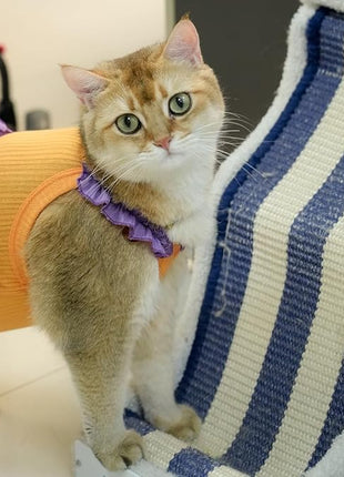 Cat Recovery Suit,Kitten Onesie After Surgery,E-Collar Alternative for Abdominal Wound and Skin Diseases,Soft Breathable Bodysuit After Spay（Orange-s）