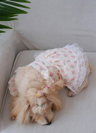 QWINEE Cute Flower Pattern Dog Dress Ruffle Trim Princess Dress Cat Vest Dress Lace Trim Summer Dress Pet Clothes for Small Medium Cats Dogs Kitten Puppy Pink A L