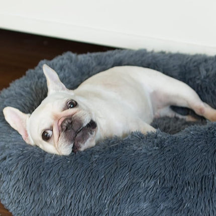 Calming Anti-Anxiety Donut Dog Bed for Small Medium Dogs - 23 Inches Dark Gray, Washable Fuzzy Puppy Bed Fits up to 15 lbs Pets