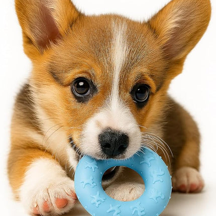 Jalousie Multipack Dog Squeaky Toys Bulk Bundle Pup Toy - Puppy Toys for Pets for Small Medium Breed (30 PCs Gift Basket)