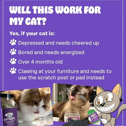 Cat Crack Catnip, Zoomie-Inducing Cat Nip Blend, North American Made & 100% Natural, Safe & Non-Addictive Catnip Treats Used to Supplement Cat Nip Toys, Spray, & Accessories (20 Cups)