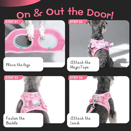 EXPAWLORER Small Dog Valentines Harness and Leash Set - Cute Puppy Harness Leash Dog Collar with AirTag Holder Silicone Case, Soft Padded Step in Pet Vest Reflective for Outdoor Walking, Heart S