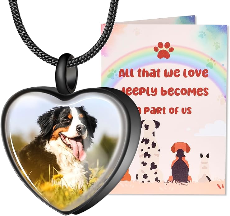Fanery Sue Pet Ashes Necklace Cremation Jewelry Personalized Picture&Quote Memorial Gifts for Loss of Dog/Cat Urn Necklaces Pets Loss Sympathy Gift Keepsake for Women