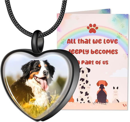 Fanery Sue Pet Ashes Necklace Cremation Jewelry Personalized Picture&Quote Memorial Gifts for Loss of Dog/Cat Urn Necklaces Pets Loss Sympathy Gift Keepsake for Women