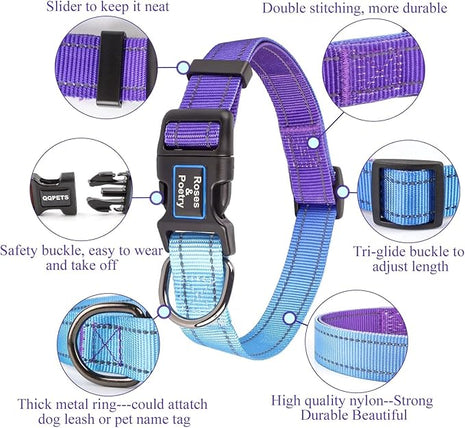 Roses&Poetry Reflective Dog Collar with Gradient Violet, Adjustable Durable Pet Collars for Small Medium Large Dogs (Violet-L)