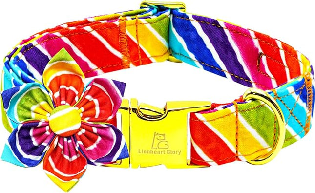Lionheart glory Rainbow Dog Collar with Flower Colorful Summer Dog Flower Collar Heavy Duty Adjustable Pride Collars for Large Dogs Pet Gift Holiday