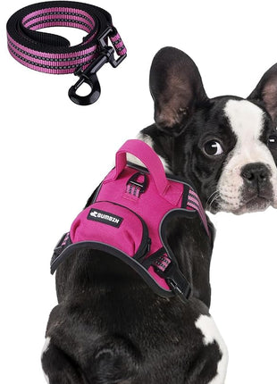 BUMBIN Dog Harness for Large Dogs, No Pull Adjustable No Choke Pet Vest with Dog Leash Fit Smart Reflective Pet Walking Harness for Training Easy Control Soft Handle Rose Red L