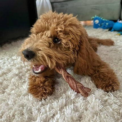 Redbarn Pet Products All-Natural 7" Braided Bully Sticks for Dogs - Premium Slow Roasted Long Lasting Chews Made with 100% Beef - Healthy Single Ingredient Low Odor - 8 Count - Packaging May Vary