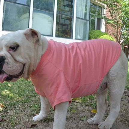Lovelonglong Bulldog Clothes Dog Clothing Blank T-Shirt Tee Shirts for French Bulldog English Bulldog American Pit Bull Pugs 100% Cotton Skin Care Lotuspink B-M
