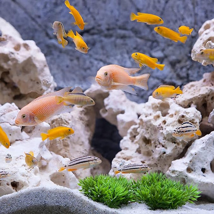 Segarty Aquarium Aquascaping Tools, 6 in 1 Stainless Steel Silver Aquascaping Tools Kit for Aquatic Plant Fish Tank, Long Scrapers Spatula Feeding Tweezers Curved Straight Scissors Aquarium Tools