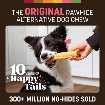 Earth Animal No Hide Chews - Long Lasting Rawhide Free Medium Dog Chews Rolls, Salmon - 6 Count