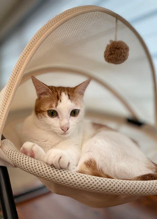 Cat Bed, Pet Hammock Bed for Cats and Dogs, Comfortable and Breathable Elevated Cat & Dog Nest, Easy to Assemble, Cover Removable and Washable, Suitable for Indoor and Outdoor Use (Cream)