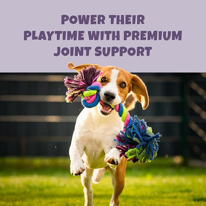 Petipet Omega 3 for Dogs - Skin, Coat, Brain & Heart Health Supplement- For Dry, Itchy, or Flaky Skin - Allergies and Itch Relief Soft & Chewy Chews - DHA and EPA Omega 3 Fatty Acids from Marine Algae