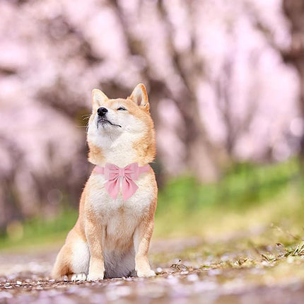 Maca Bates Cherry Pink Dog Collar with Cute Solid Sailor Bow Tie for Medium Girl Boy Dogs,Girly Adjustbale Durable Breakaway Soft Collars with Bowtie for Female Male Puppy,Pet with Metal Buckle