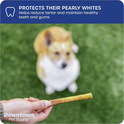 Downtown Pet Supply Bully Sticks for Dogs, Junior Size (6", 40-Pack) Rawhide Free Dog Chews Long Lasting Non-Splintering Pizzle Sticks - Low Odor Bully Sticks for Small Dogs