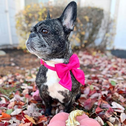 Maca Bates Hot Pink Dog Collar with Cute Rose Red Solid Sailor Bow Tie,Small Girl Boy Dogs,Girly Adjustbale Durable Breakaway Soft Collars with Bowtie for Female Male Puppy,Pet with Metal Buckle