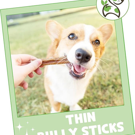 Nature Gnaws Thin Bully Sticks for Dogs 5-6" (1Lb) - Mixed Thickness - Long Lasting for Small Dogs and Puppies - Natural Thin Beef Dog Chew Bones - Rawhide Free