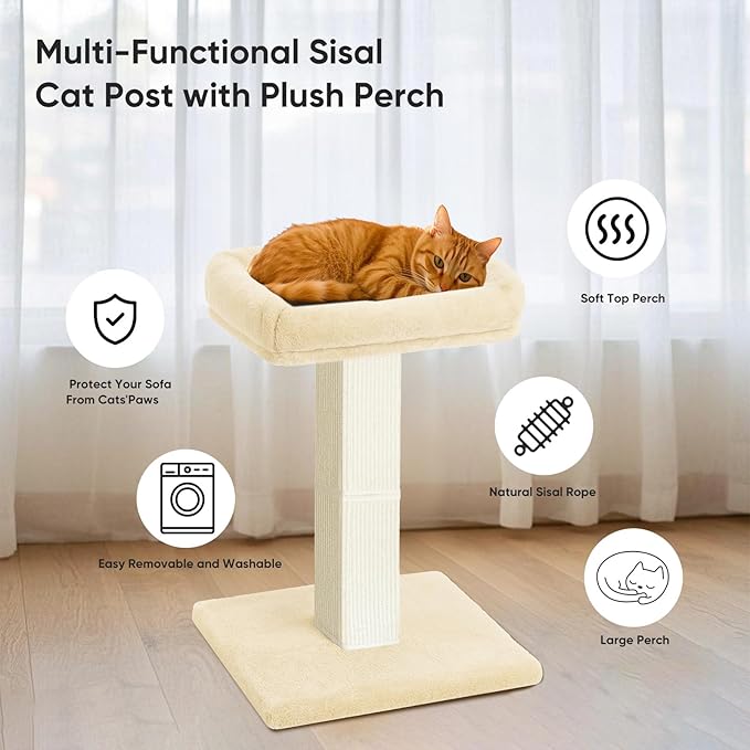 AGYM Cat Scratching Post, 32”Cat Scratcher with Large Plush Perch, Sisal & Carpet Scratching Post, Vertical Posts with Elevated Bed for Indoor Cats, Removable& Washable Cover, Beige