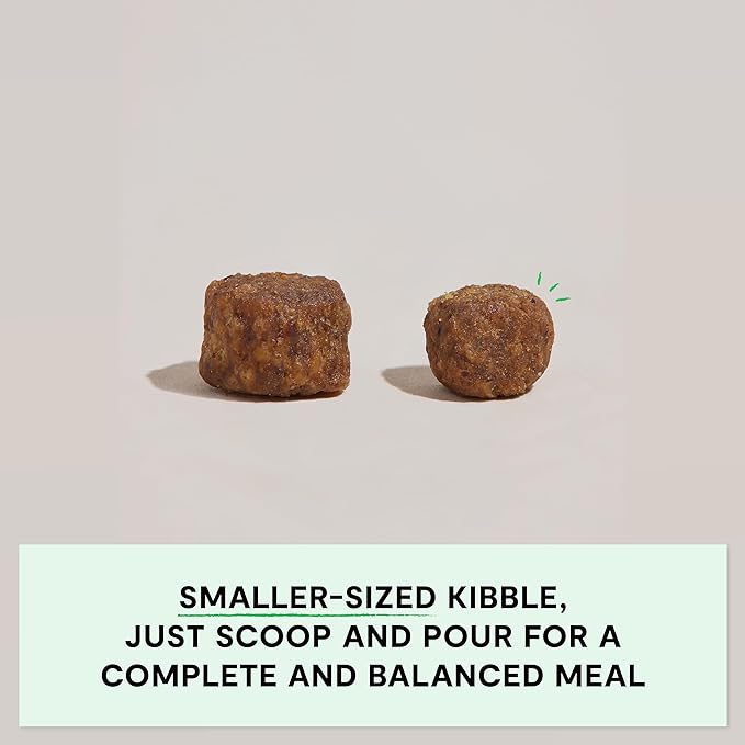 Open Farm, Grain-Free Dry Dog Food for Small Breeds, High-Protein Kibble, Sustainably & Ethically Sourced Ingredients, Non-GMO Veggies & Superfoods, Chicken & Turkey Recipe for Small Dogs, 11lb Bag